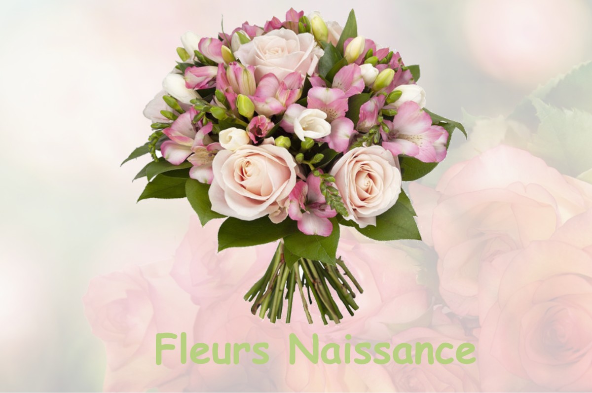 fleurs naissance LE-FOUSSERET