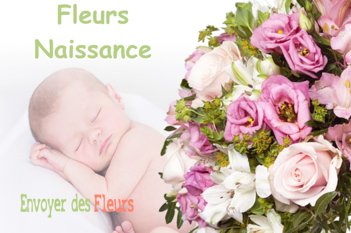 lIVRAISON FLEURS NAISSANCE à LE-FOUSSERET